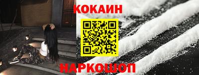индика Кингисепп