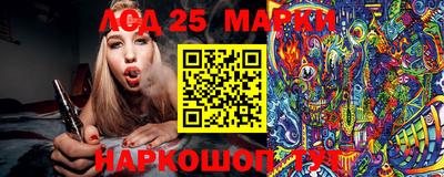 индика Кингисепп