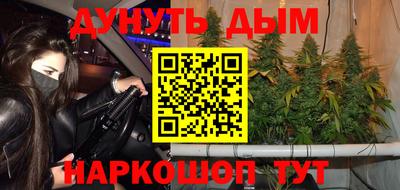 индика Кингисепп