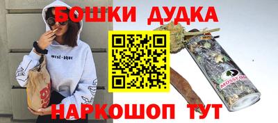 индика Кингисепп