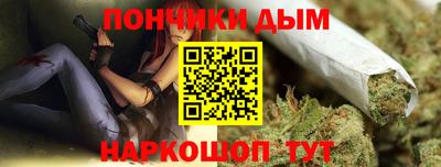 индика Кингисепп