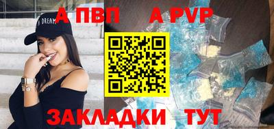 индика Кингисепп