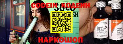 индика Кингисепп