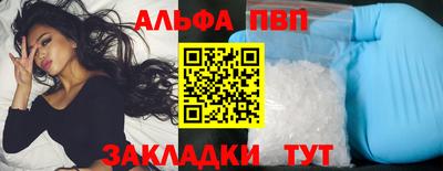индика Кингисепп