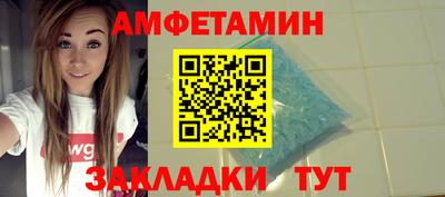 индика Кингисепп