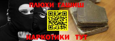 индика Кингисепп