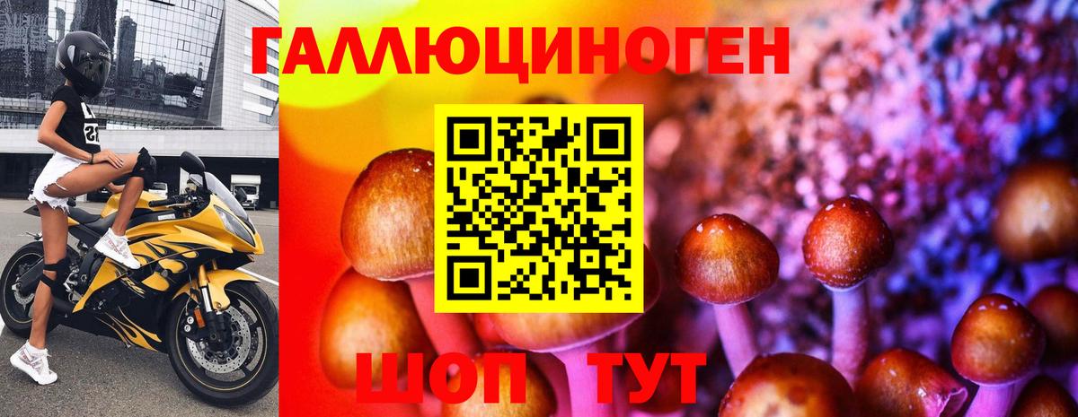 Галлюциногенные грибы Psilocybe Острогожск