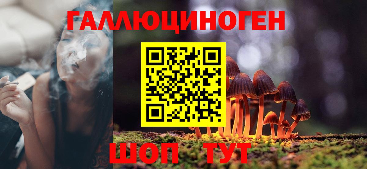 Острогожск  Галлюциногенные грибы Magic Shrooms  Вход с VPN 