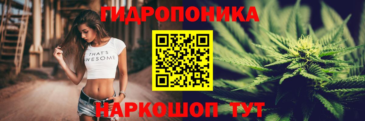 Псилоцибиновые грибы Острогожск